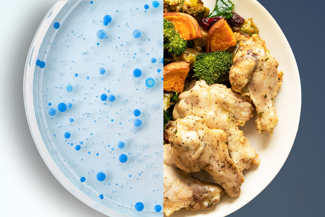 cellular agriculture petri dish to plate