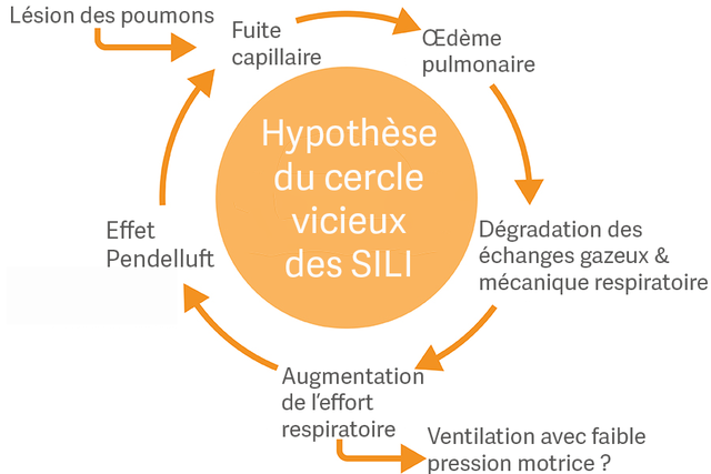 Hypothèse du cercle vicieux des SILI Hypothèse du cercle vicieux des SILI