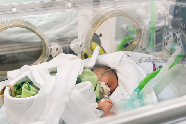 Premature baby in incubator