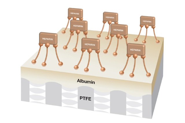 Bioline Coating