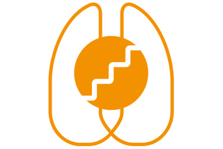 Lung recruitment Flow Anesthesia